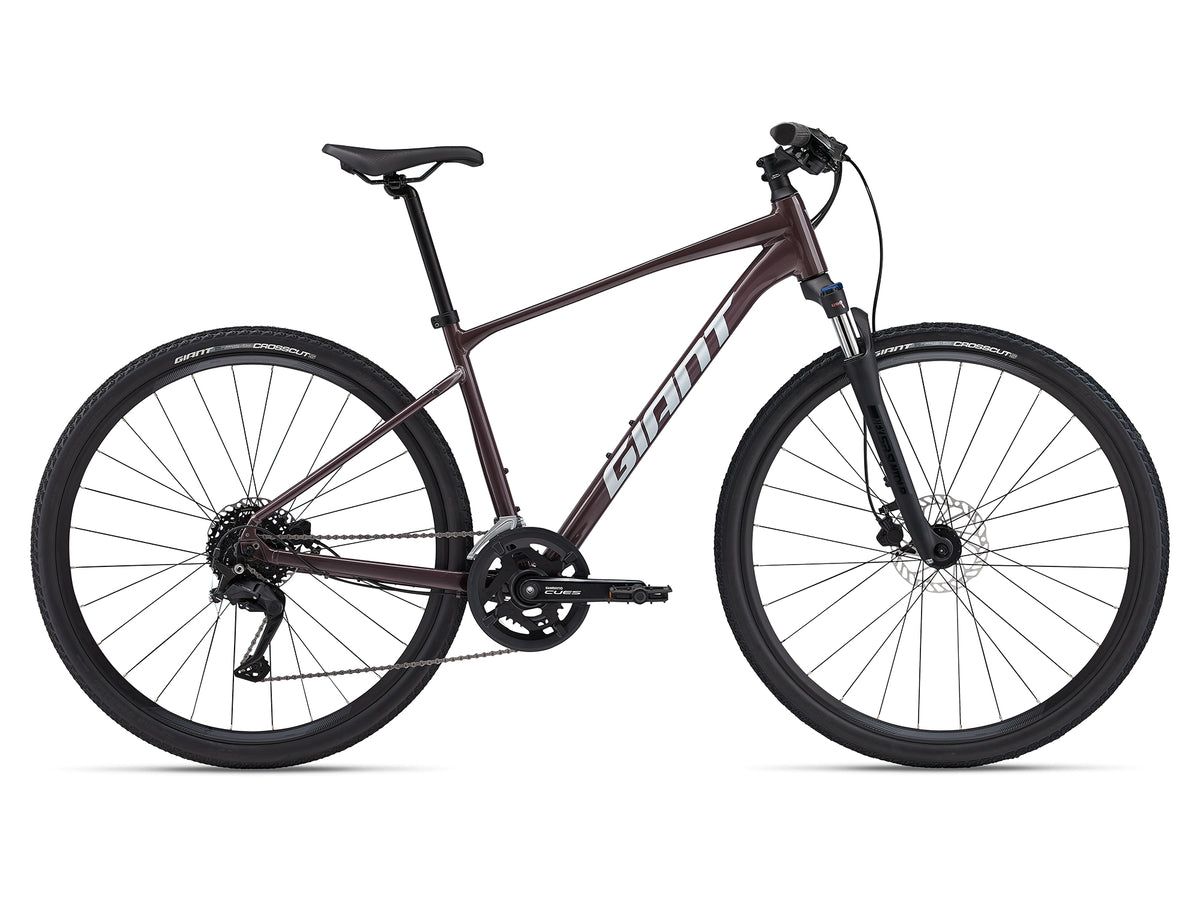 Giant roam 2 disc best sale 2021 review