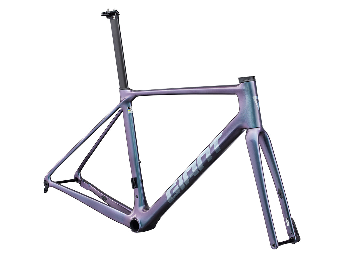 Giant tcr pro frameset on sale