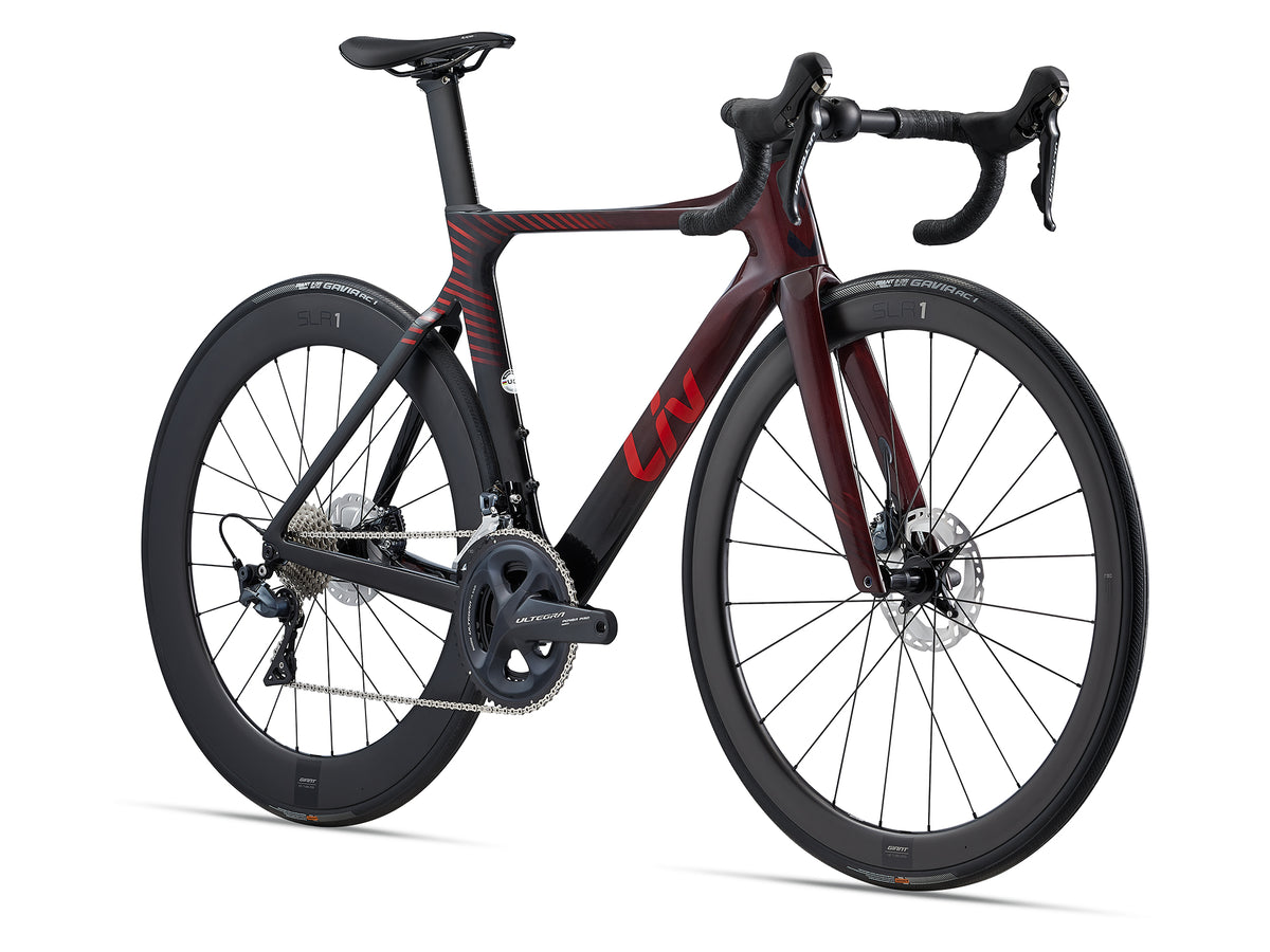 Enviliv advanced pro 1 disc 2019 2025