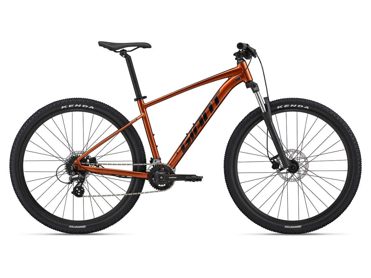 Scott giant bike store