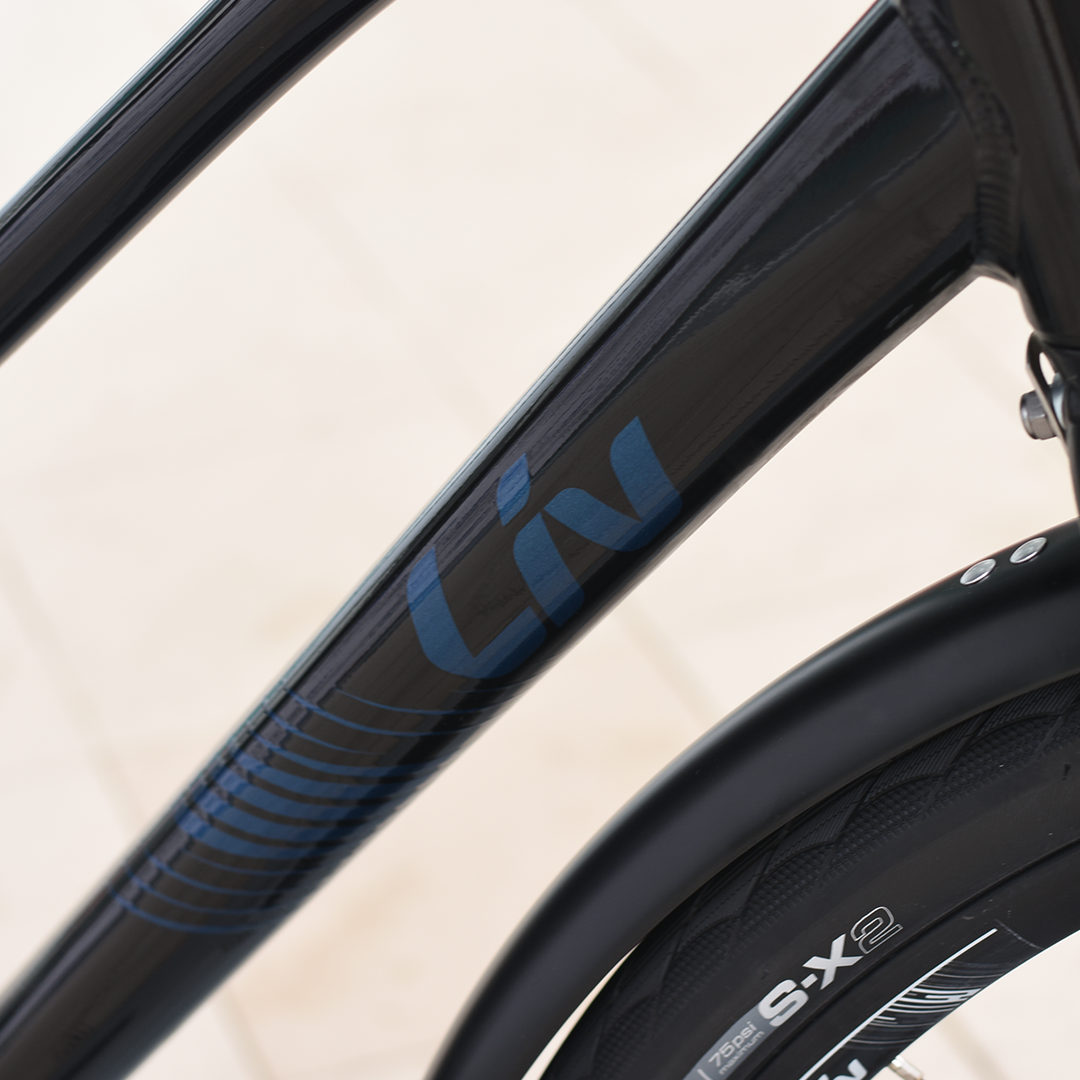 Alight 2 best sale city disc