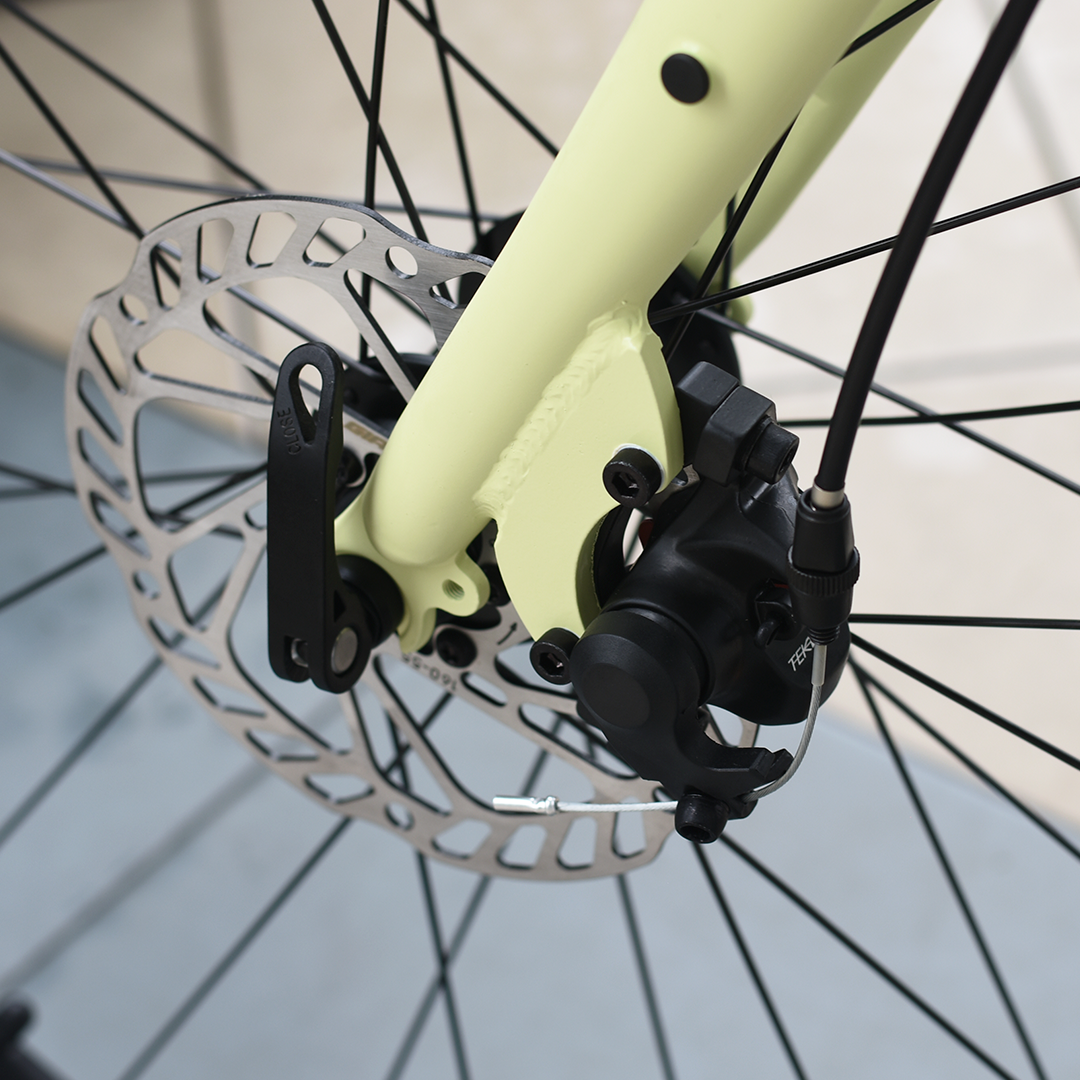 LIV ALIGHT 3 DD DISC