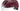 #color_matte-berry