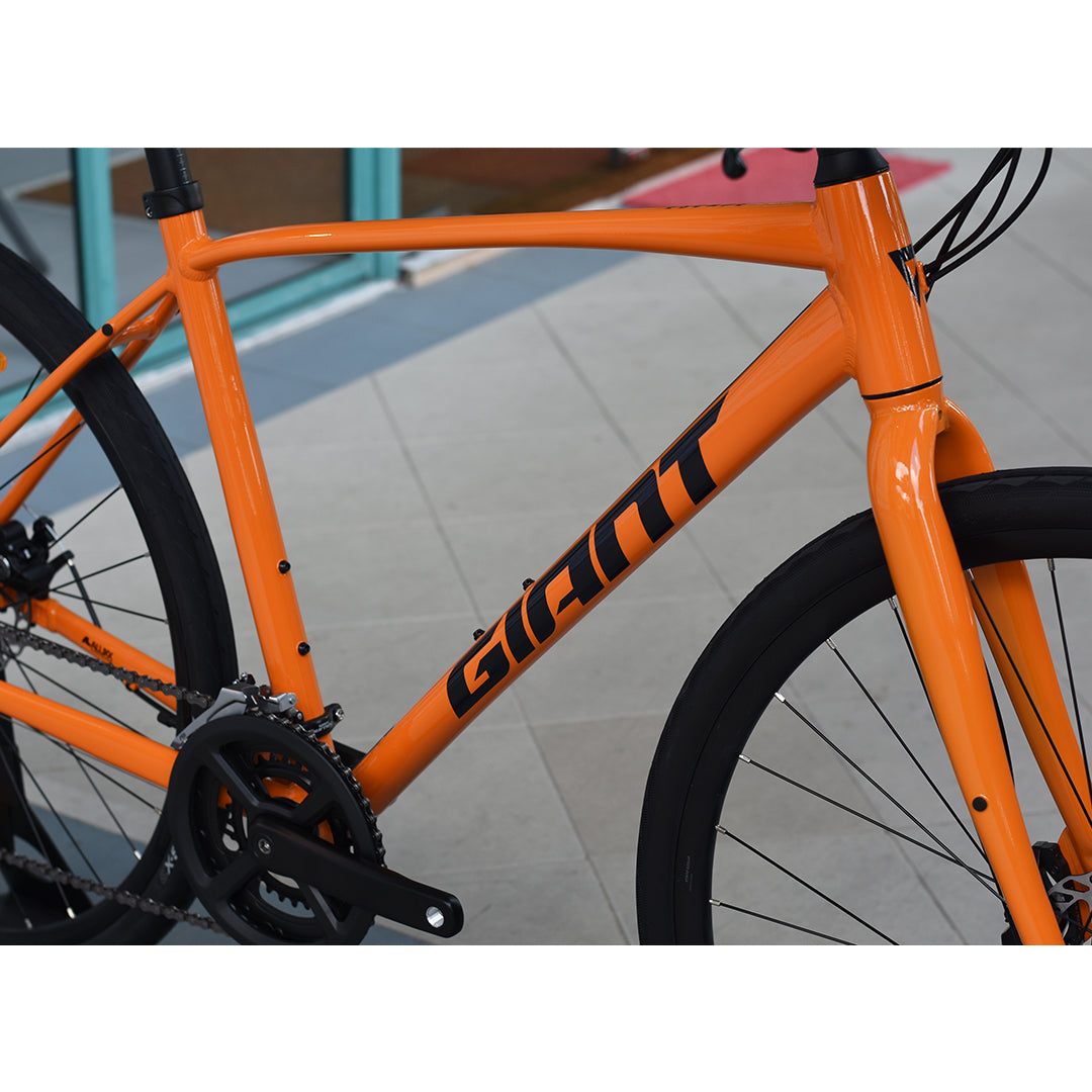 Giant Escape 3 Disc (2025) Tay Junction