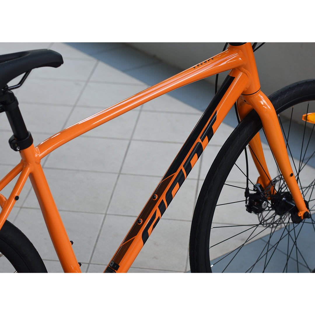 Giant Escape 3 Disc (2025) Tay Junction