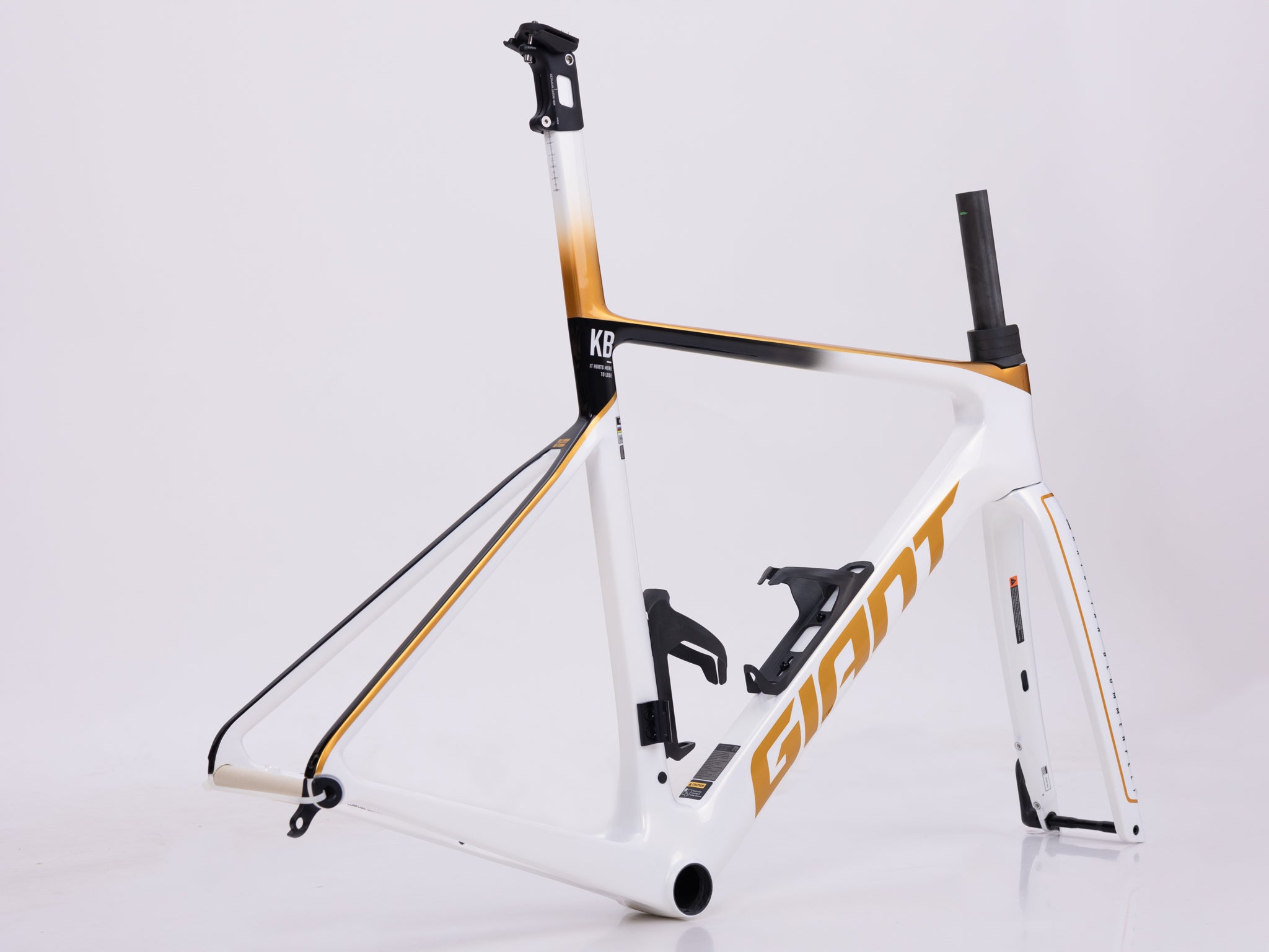 GIANT PROPEL ADVANCED SL FRAMESET (KRISTIAN BLUMMENFELT EDITION)