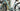 #color_sliver-pine