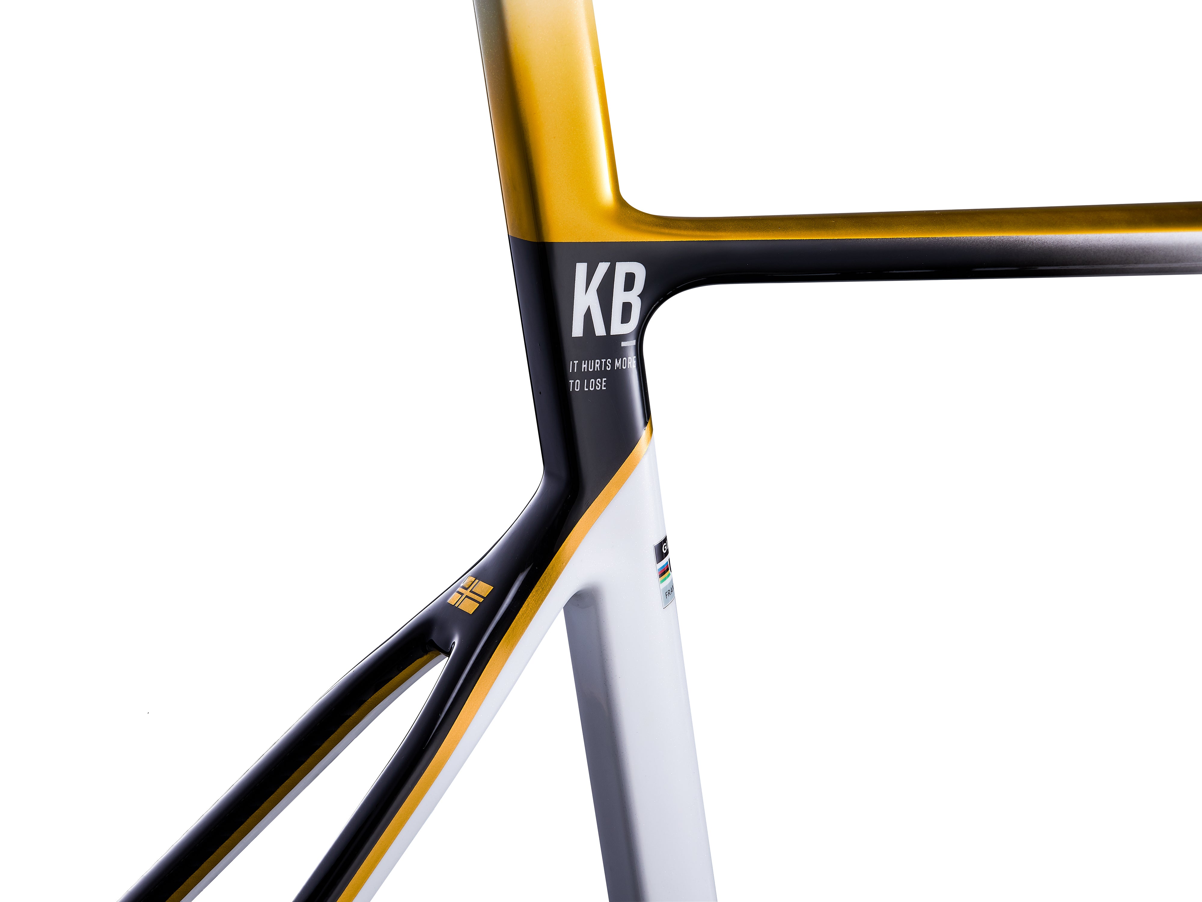 GIANT PROPEL ADVANCED SL FRAMESET (KRISTIAN BLUMMENFELT EDITION)