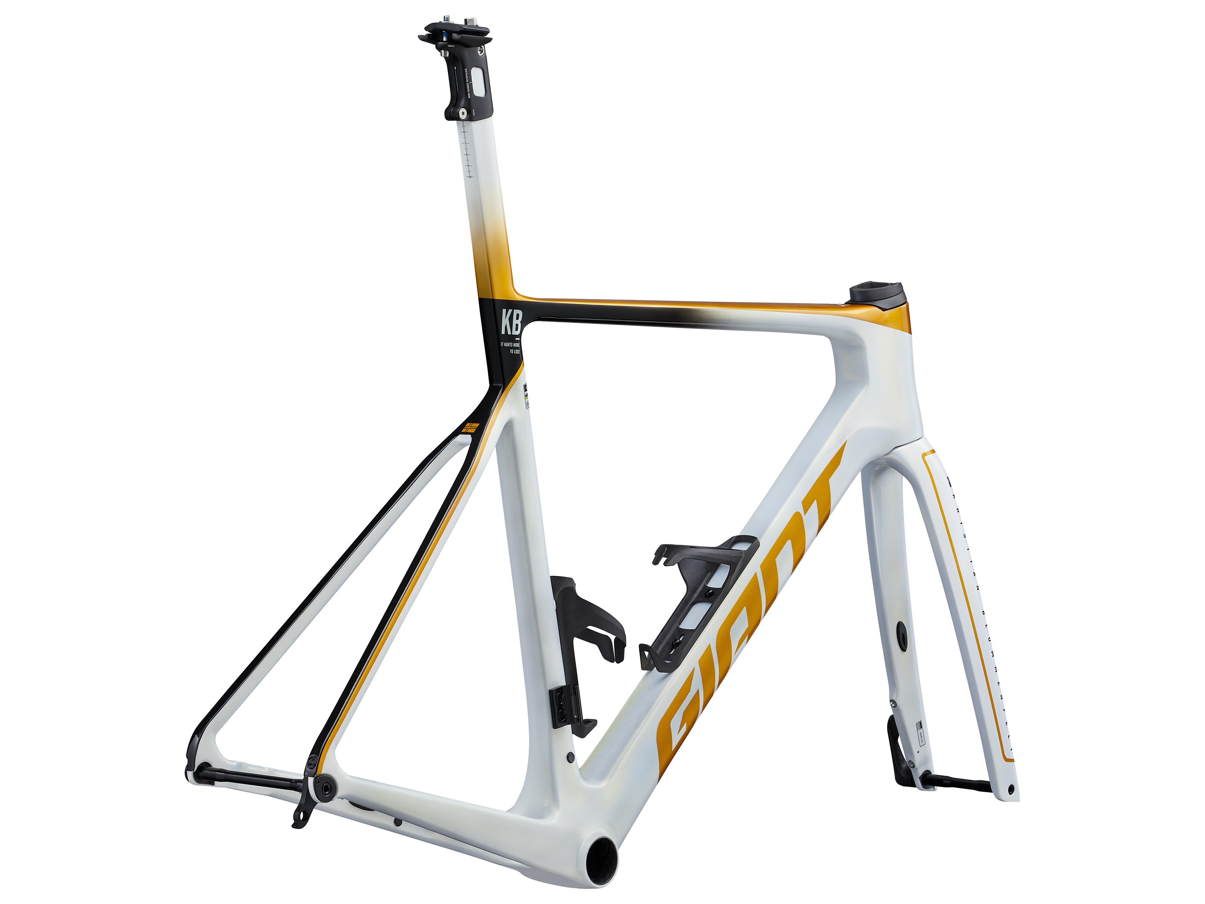 GIANT PROPEL ADVANCED SL FRAMESET (KRISTIAN BLUMMENFELT EDITION)