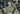 #color_lime-punch