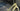 #color_pale-olive