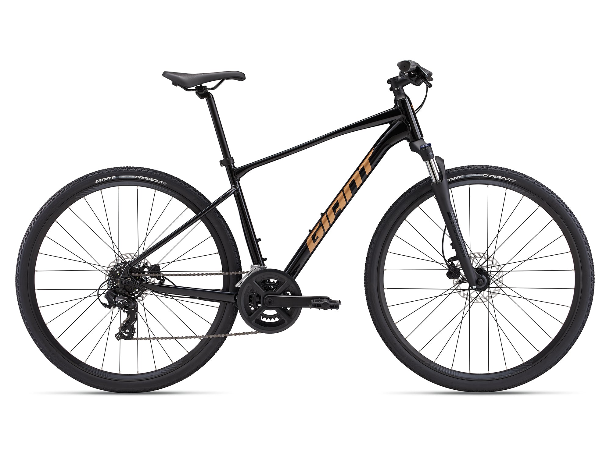 GIANT ROAM 4 DISC