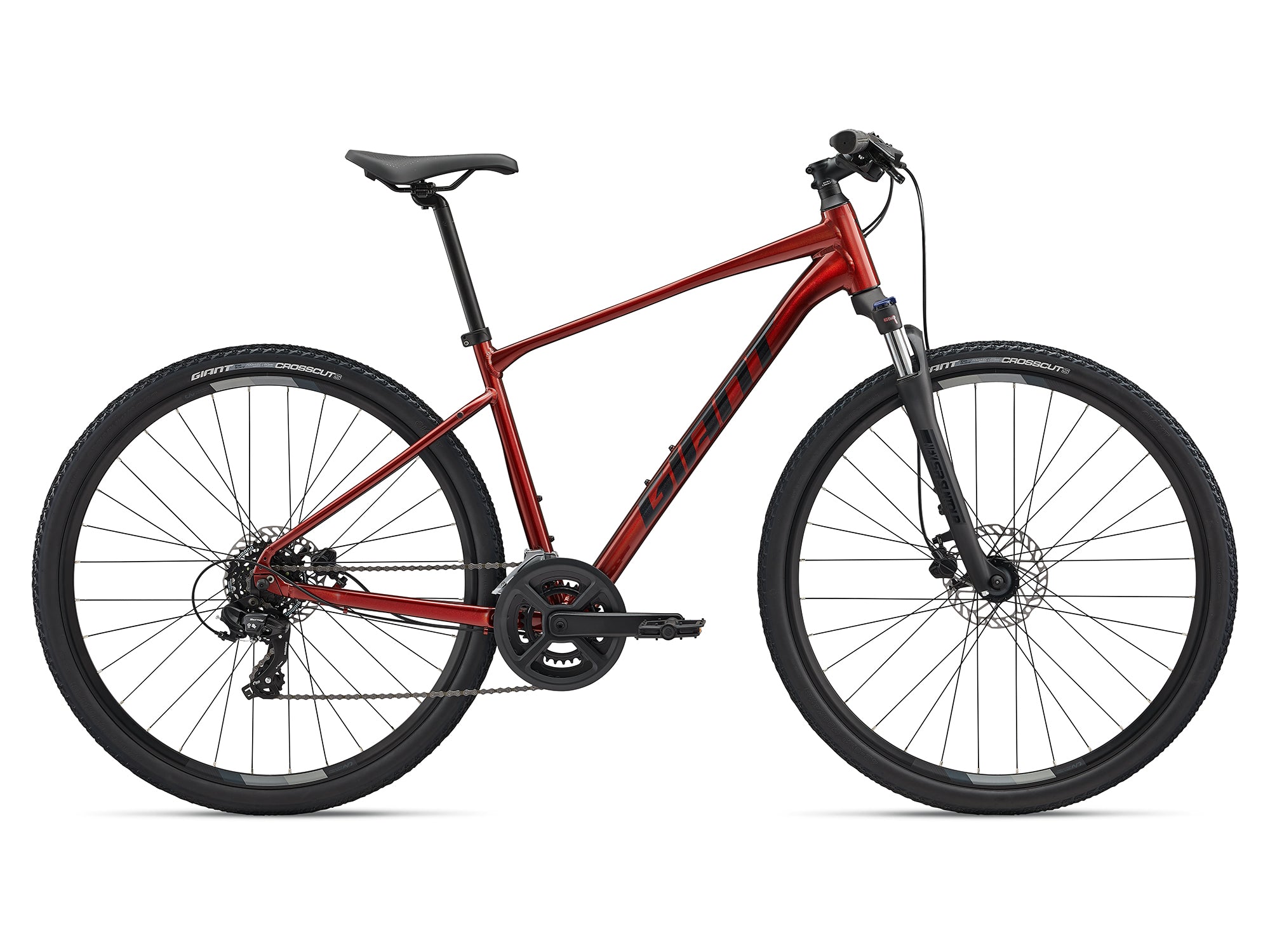 GIANT ROAM 4 DISC