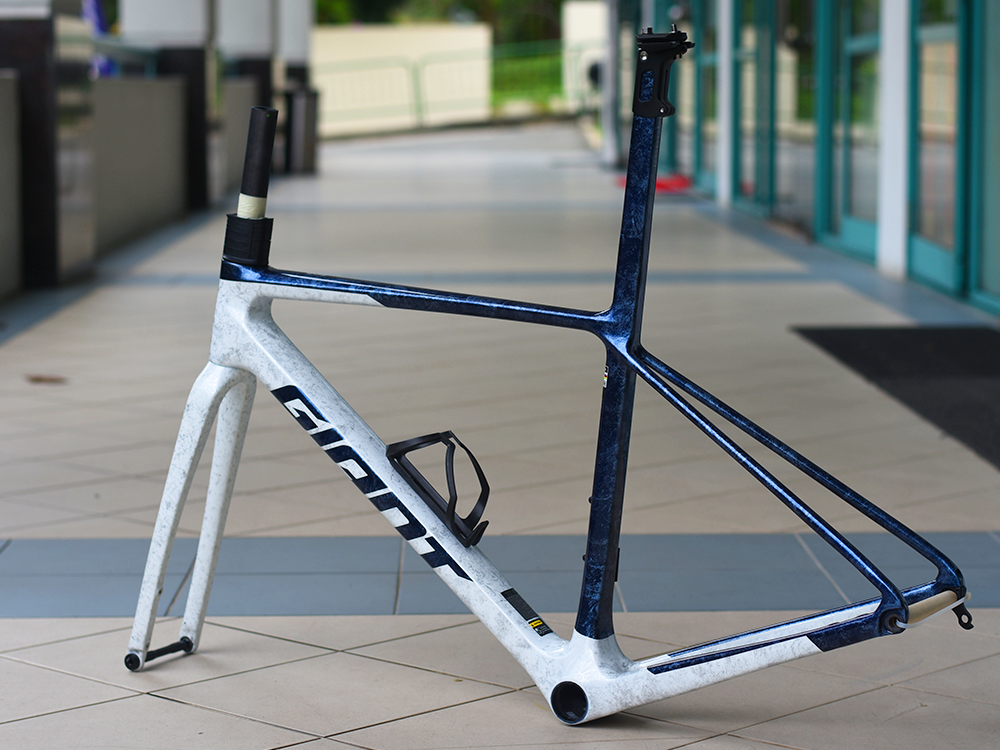 GIANT TCR ADVANCED SL FRAMESET (10TH GEN)