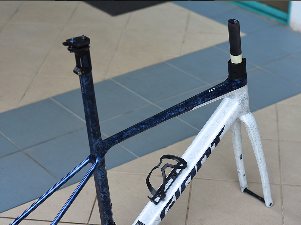 GIANT TCR ADVANCED SL FRAMESET (10TH GEN)