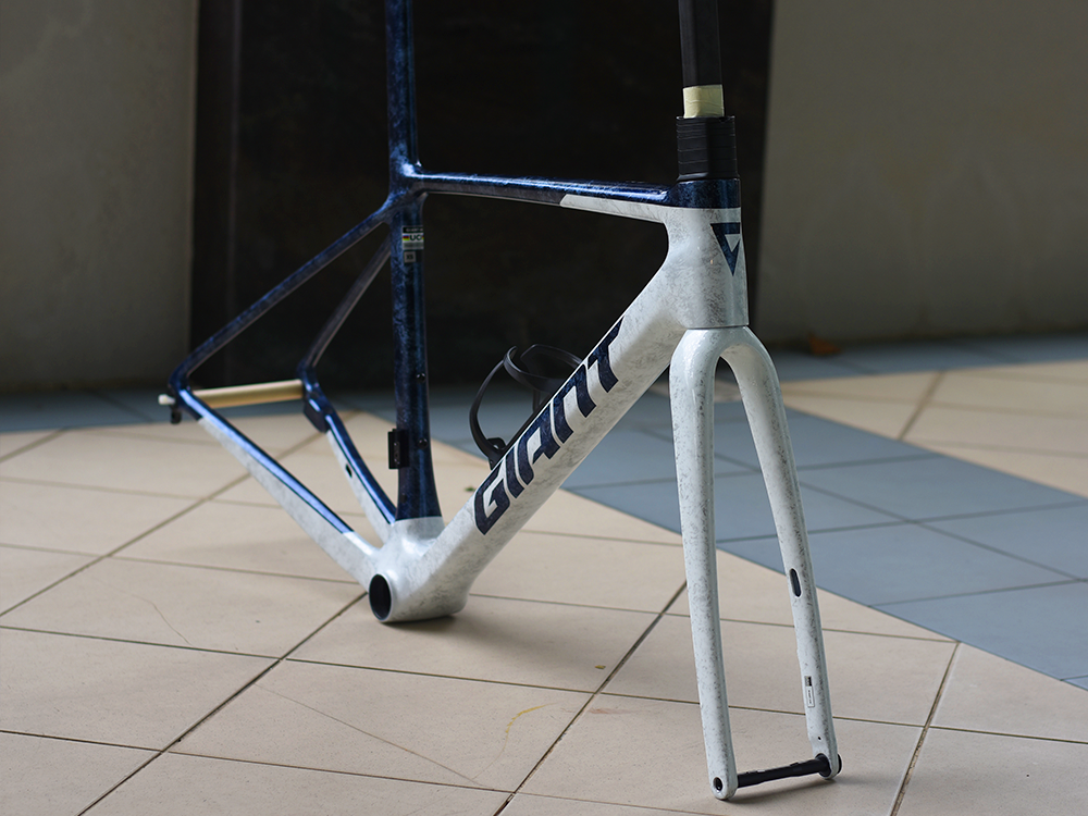 GIANT TCR ADVANCED SL FRAMESET (10TH GEN)