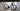 #color-metallic-navy-white