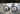 #color-metallic-navy-white