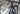 #color-metallic-navy-white